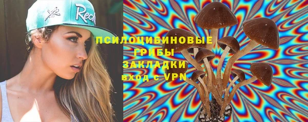 сатива Магас