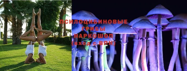 соль ск Магадан