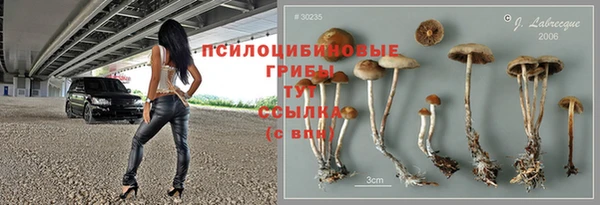 кокаин перу Белокуриха