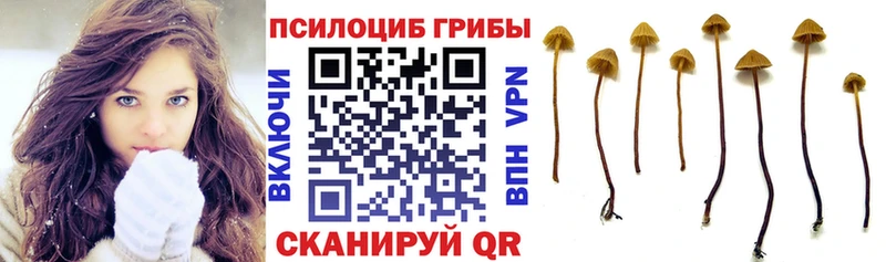 Галлюциногенные грибы мухоморы  Жиздра 
